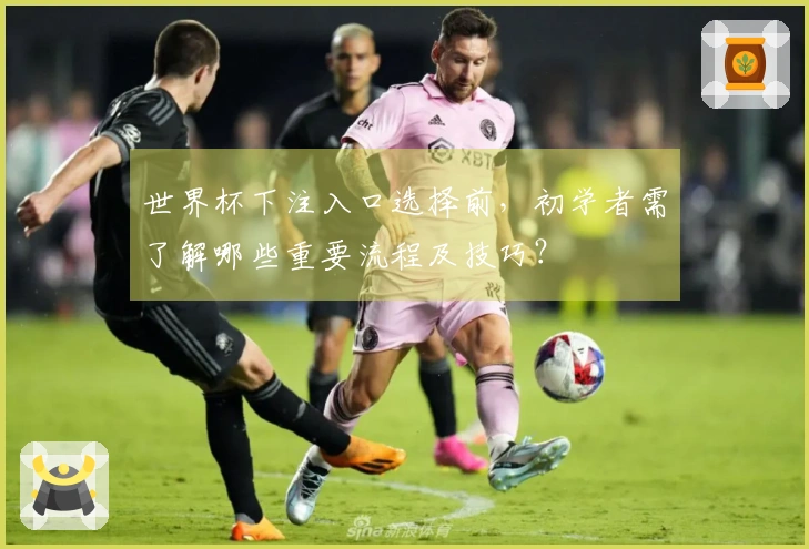世界杯下注入口选择前，初学者需了解哪些重要流程及技巧？