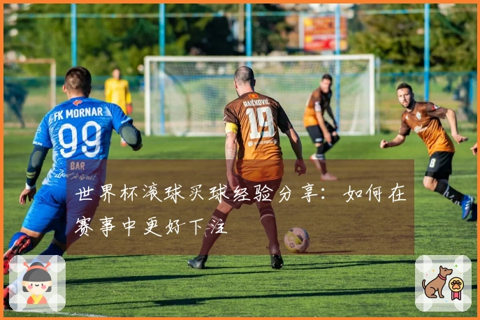世界杯滚球买球经验分享：如何在赛事中更好下注