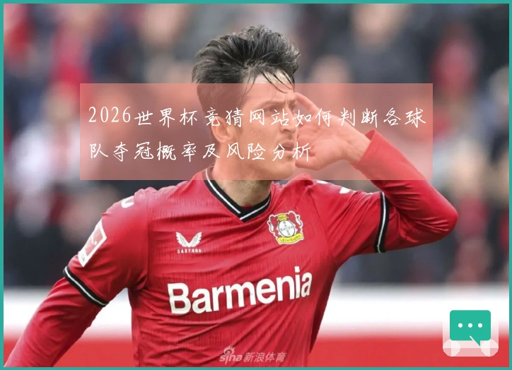 2026世界杯竞猜网站如何判断各球队夺冠概率及风险分析