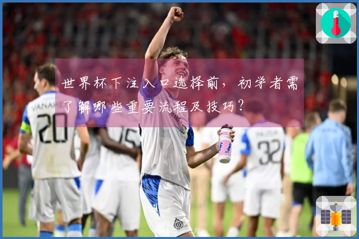 世界杯下注入口选择前，初学者需了解哪些重要流程及技巧？