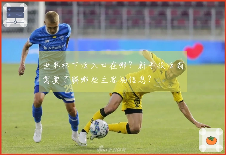 世界杯下注入口在哪？新手投注前需要了解哪些主客场信息？