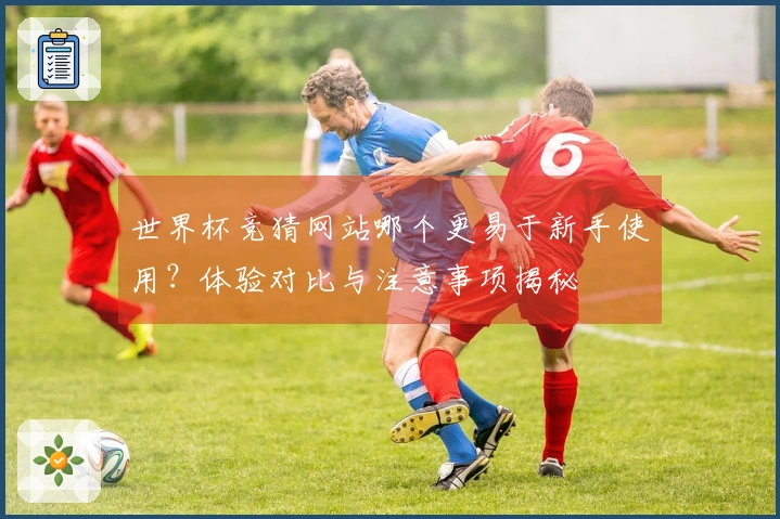 世界杯竞猜网站哪个更易于新手使用？体验对比与注意事项揭秘